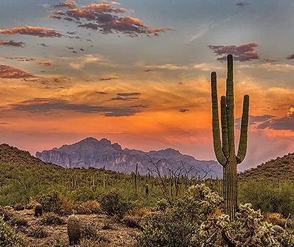 Oro Valley