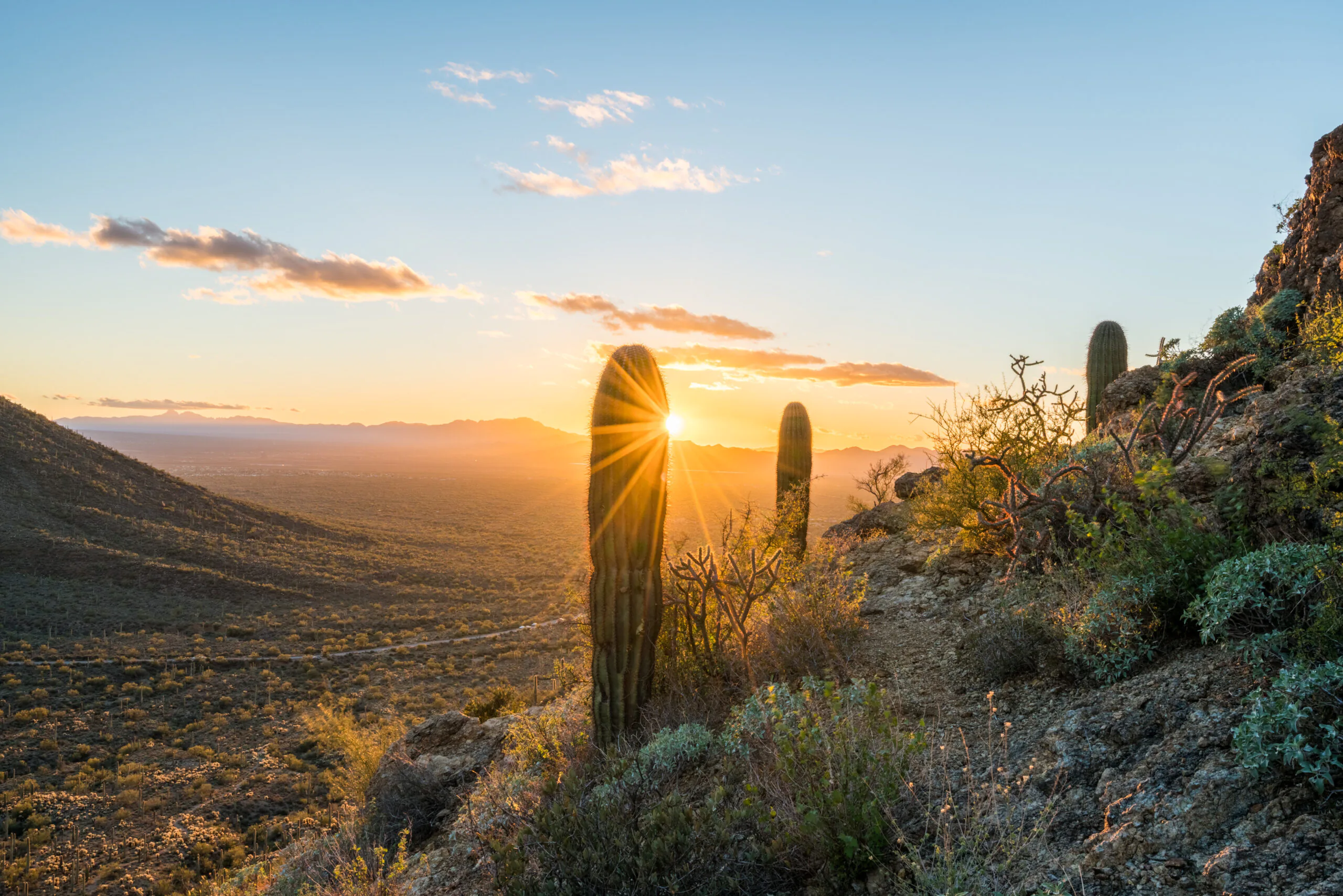 Oro Valley