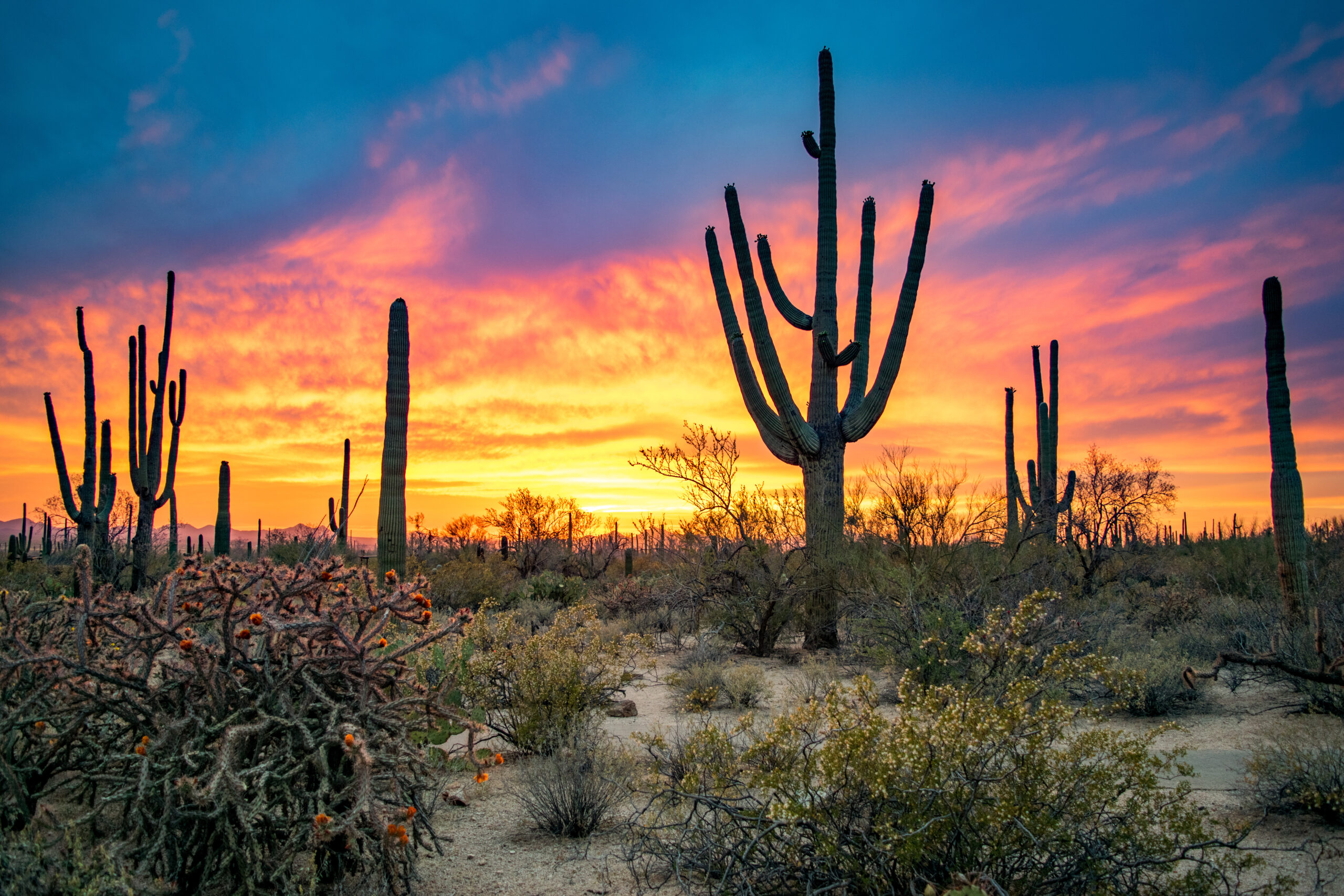 Oro Valley